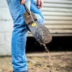 Stockman-Brown-Leather-2-1