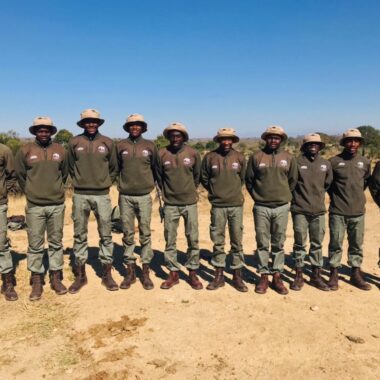 Beyond the Thornveld, inside the fight to protect North West’s wild heart