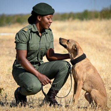 Standing firm: The Tashinga Initiative