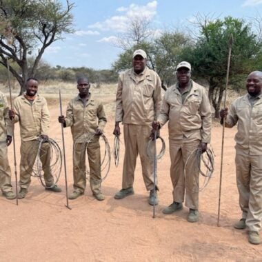 Gonarezhou Conservation Trust