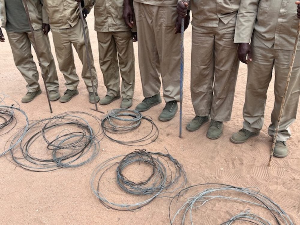 Anti-poaching scouts with recovered wire snares