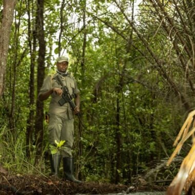 Gonarezhou Conservation Trust