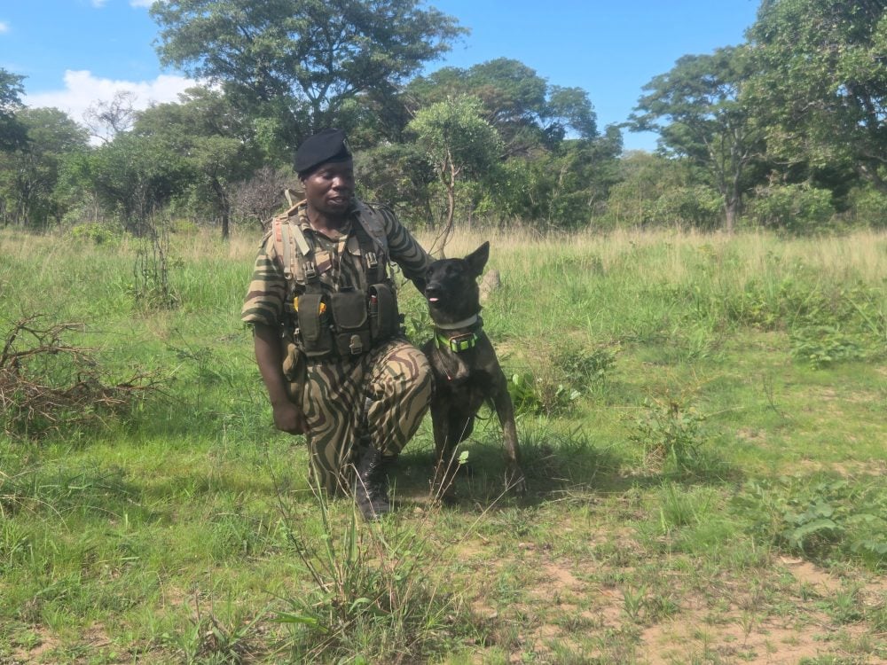 Kafue ranger with patrol dog