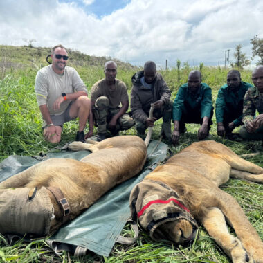 Boots, boats, and a black rhino dream