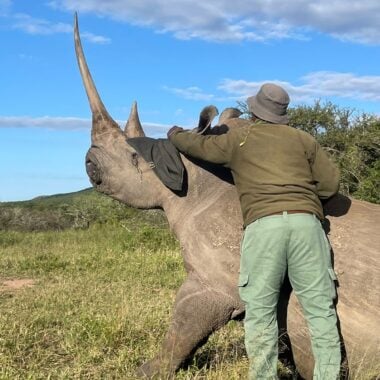Northern Tuli Game Reserve: Where Three Countries Meet, One Ranger Holds the Line