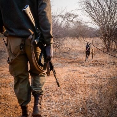 Lewa Conservancy: Where the Line Between People and Wilderness Disappears